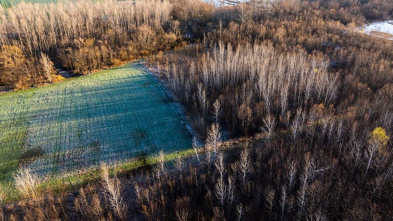 St Clair IL 263.95 Featured_Pro Photo-58