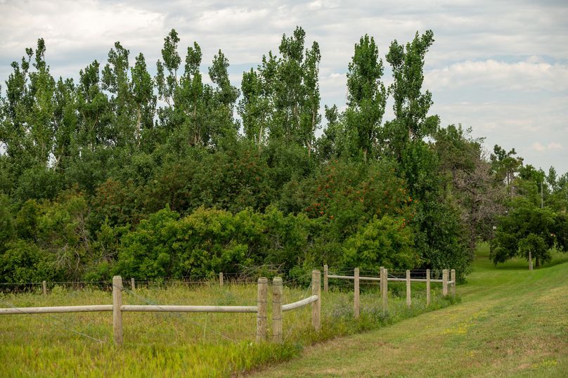 17 pasture and shelter belts along driveway