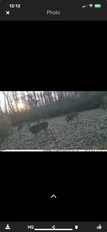 Screenshot_2023-12-23_at_12.12.35â¯PM