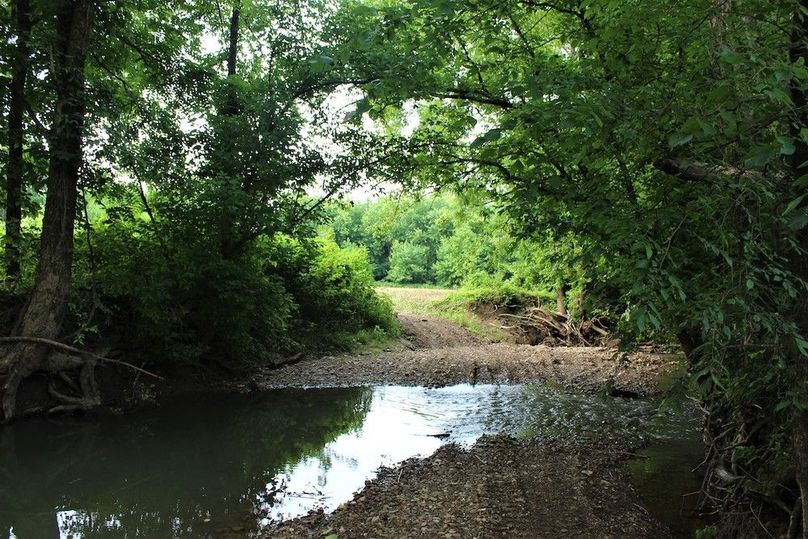 033 Long Branch as it approached Miller_s Creek on the south side of the road
