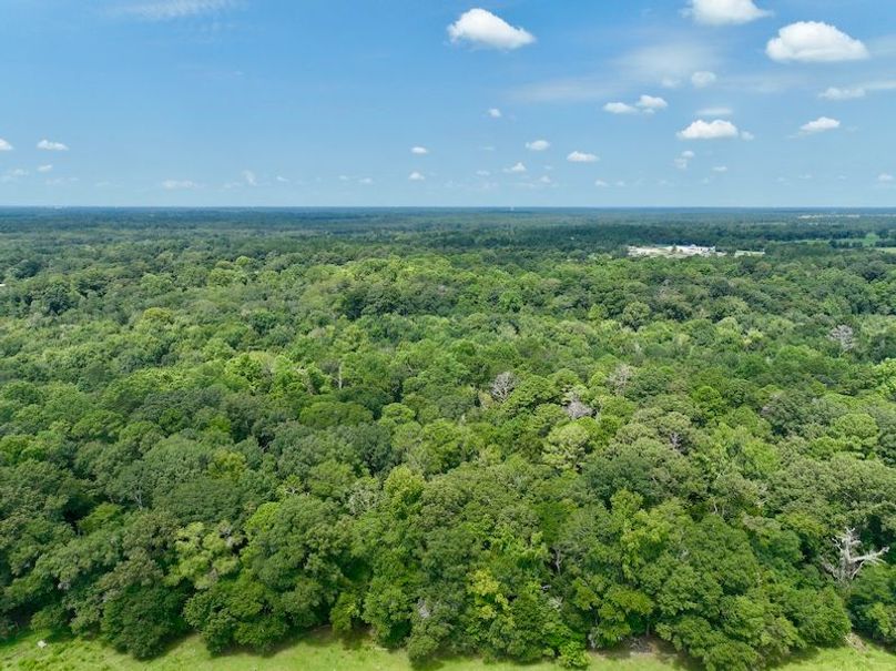 dji_fly_20250819_122830_107_1755621007724_photo