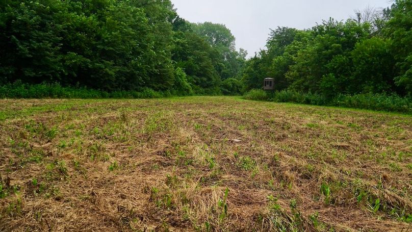 5AE66567-842B-4888-A231-FA77FD410016_1_105_c