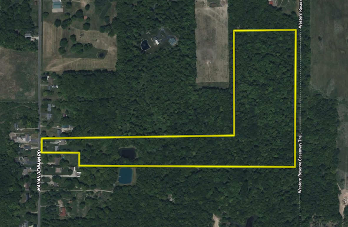 Screenshot 2025-08-03 at 8.11.21 AM