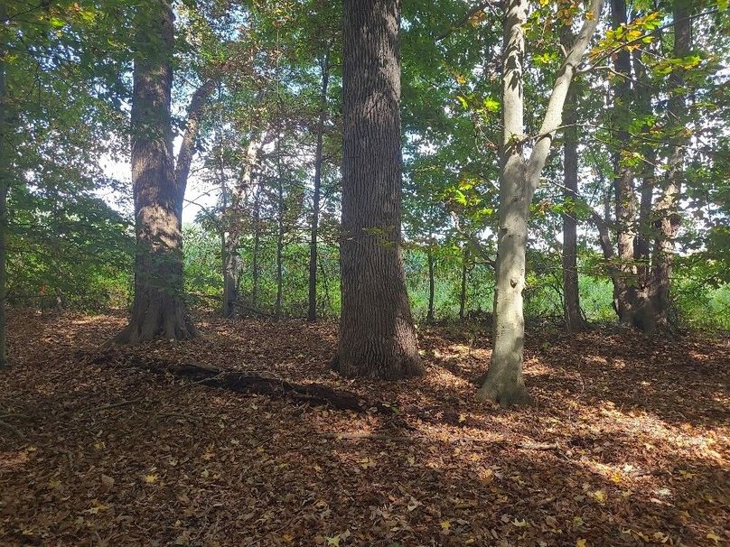 31.40ac_QAnnes_PIC_008