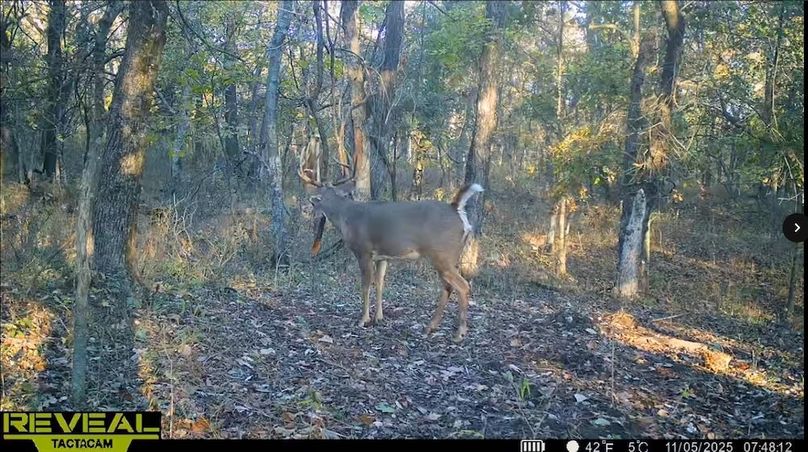 Screenshot_24-1-2026_83251_drive.google.com