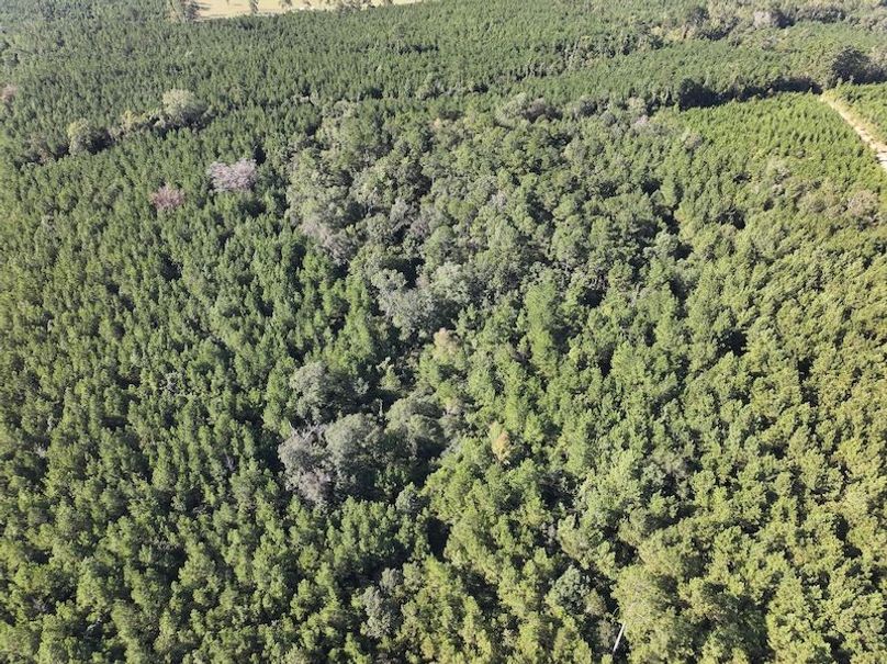 dji_fly_20250908_094022_0421_1757354101875_photo