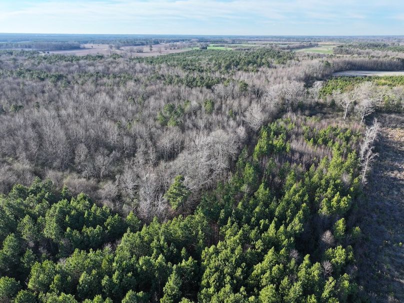 DJI_20260101161851_0300_D