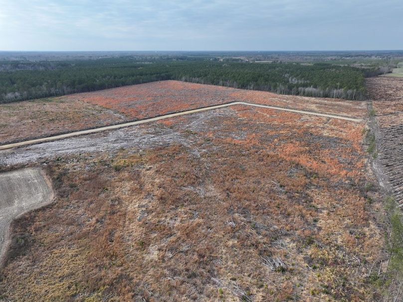 Copy of dji_fly_20251224_150900_0251_1767705632758_photo