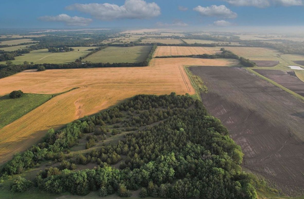 Lamar County- 92.66 Acres (1 of 29)