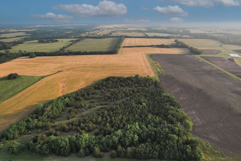 Lamar County- 92.66 Acres (1 of 29)