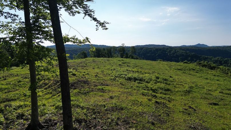 Copy of dji_fly_20240703_133530_504_1719964284587_photo