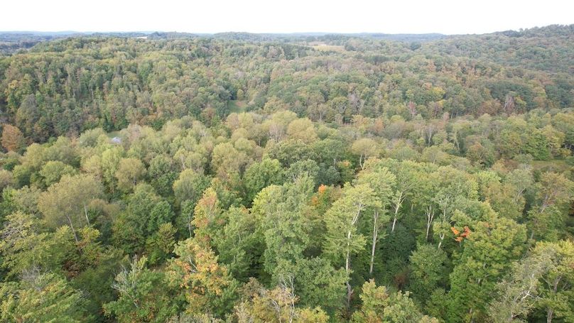 dji_fly_20240919_091940_672_1726752713203_photo