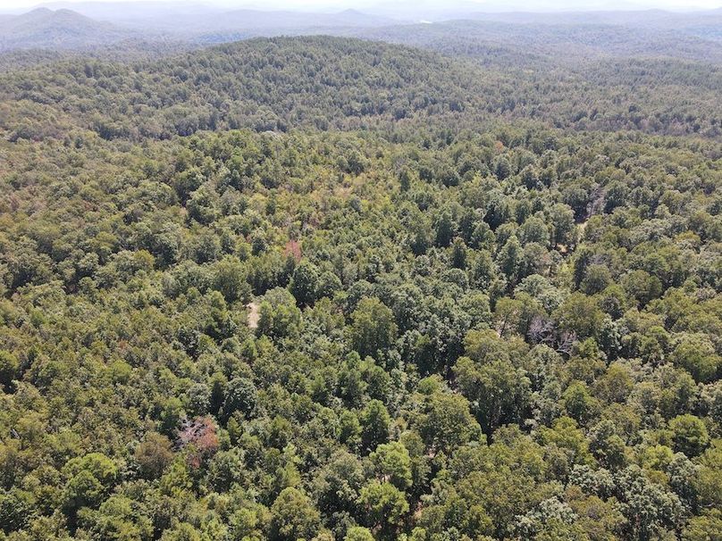 dji_fly_20250902_122542_775_1756833961153_photo