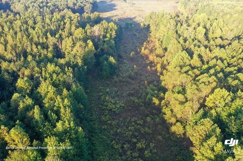 DeSoto 329 Prewett (Thompson) -18