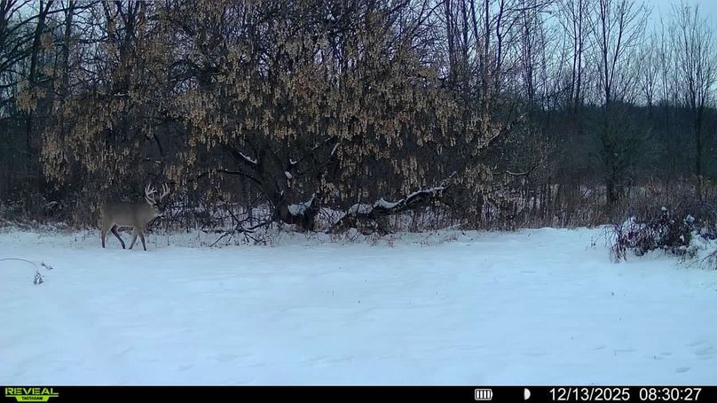 016579004620261-92-4-12132025083027-V-SYFW06186