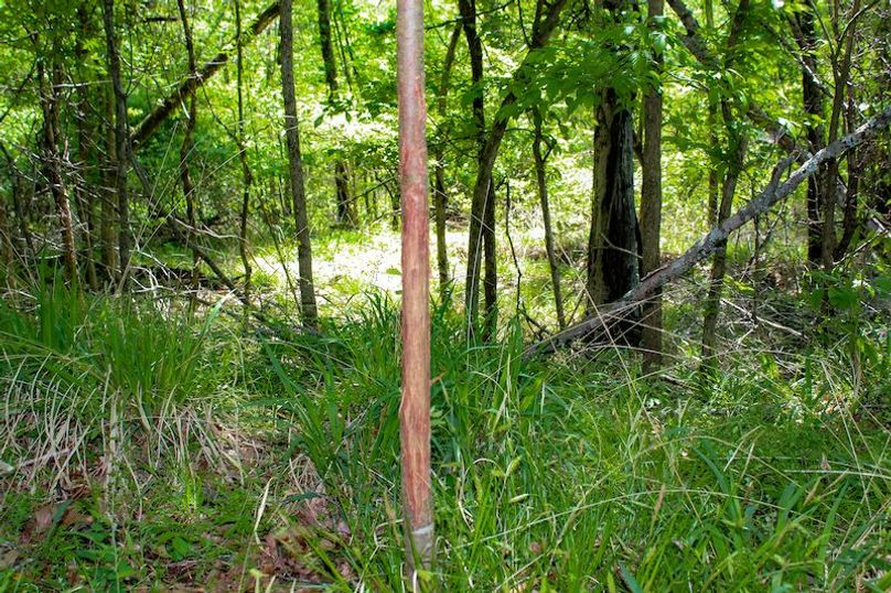 Warren Co - 34.52 - Roy-03