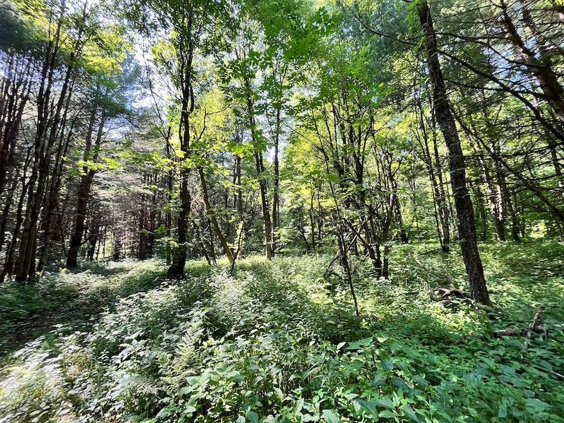 Oswego_24_Frank Photo 20