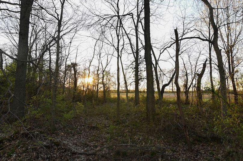 vandalia 450 (2)-2300