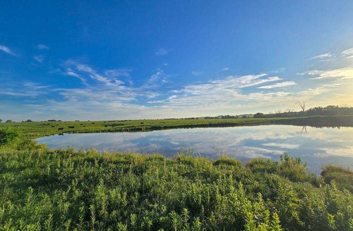 Copy of 20250625_065529