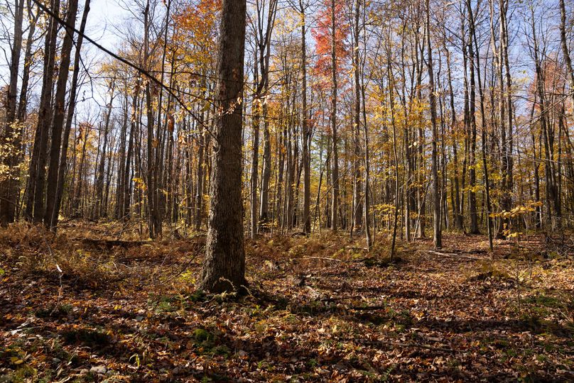 Elk PA 7000 Feature_Pro Photo-102