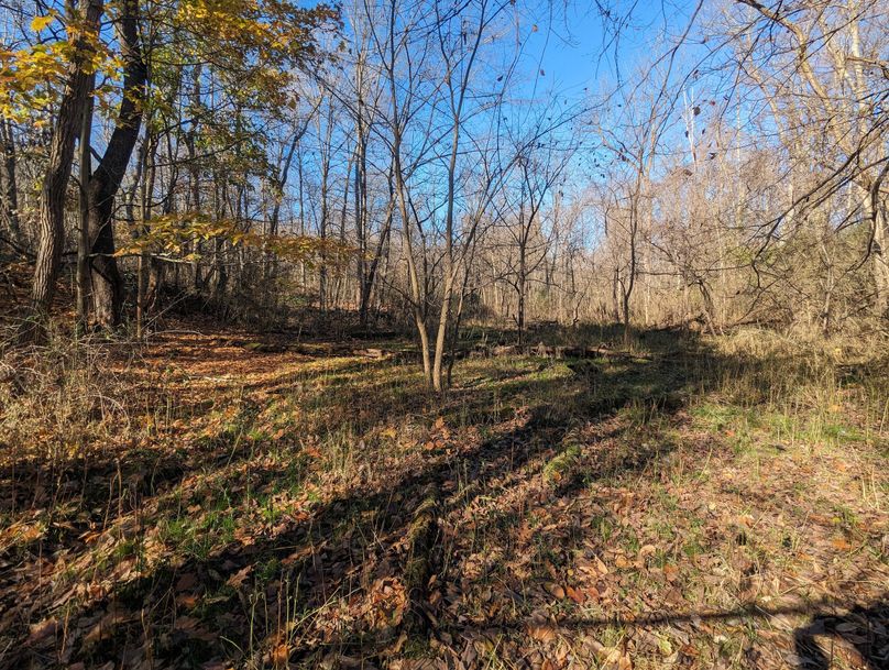 PXL_20231103_151604948