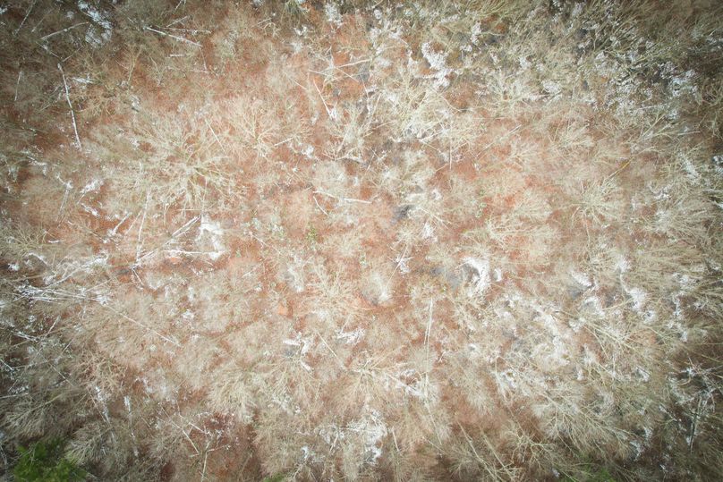 Tompkins_55.05_Hildreth_Photos_12