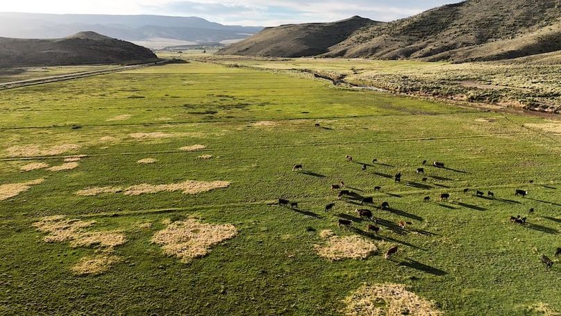 Lucky River Bottom Ranch28