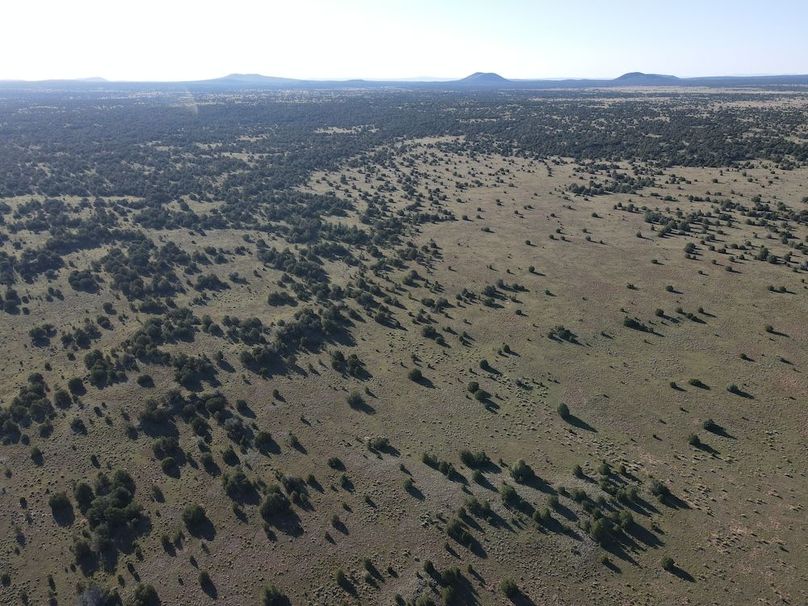 dji_fly_20240816_081520_538_1723818028292_photo