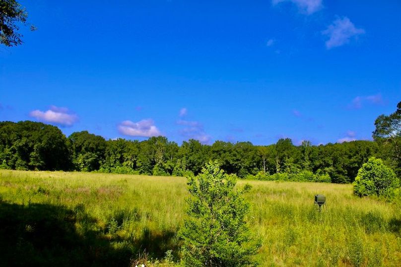 2E9B2C0A-4864-47B0-86BF-F0BD78B602A2_1_201_a