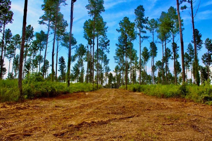 5F92A25A-70B3-4897-AA5B-00FCE17D87B1_1_105_c