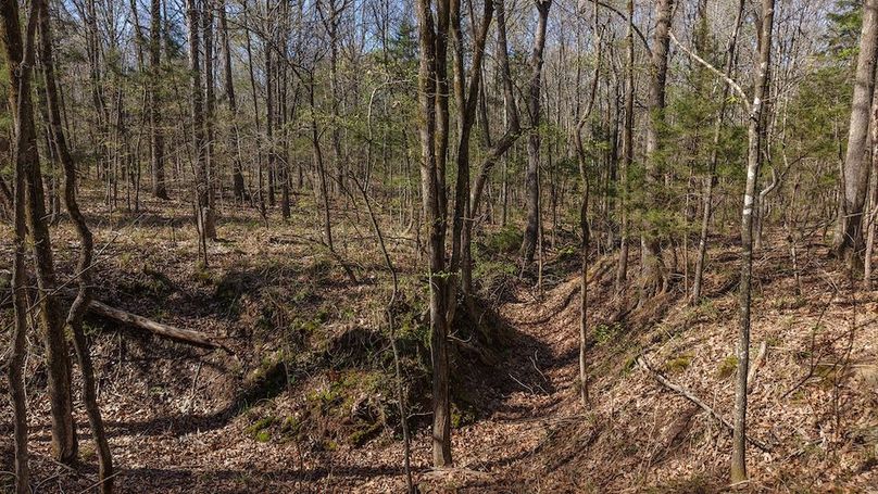 DJI_20260311013815_0053_D