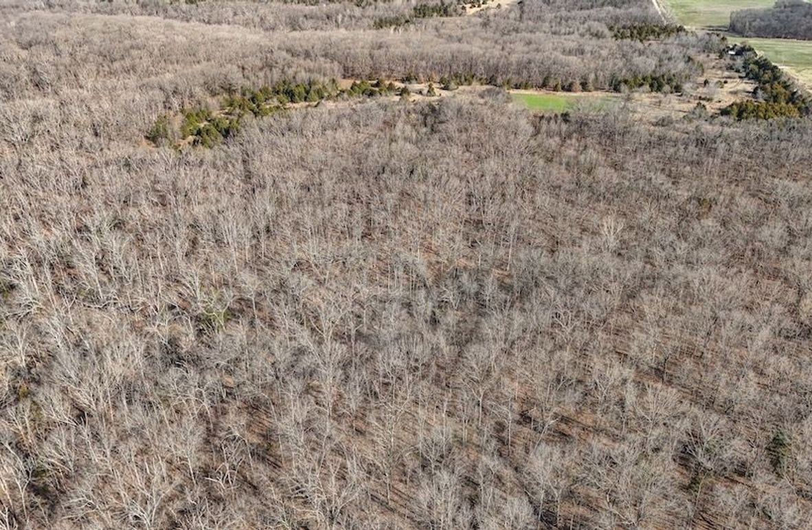 DJI_20250316085849_0035_D