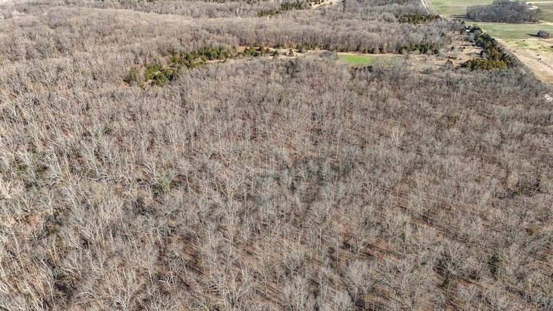 DJI_20250316085849_0035_D