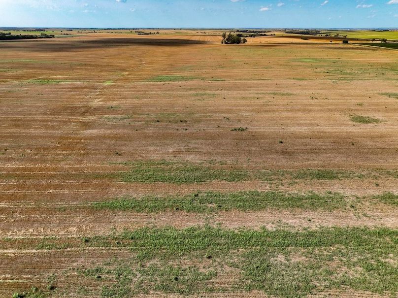 Mitchell Ks, 166.78_008