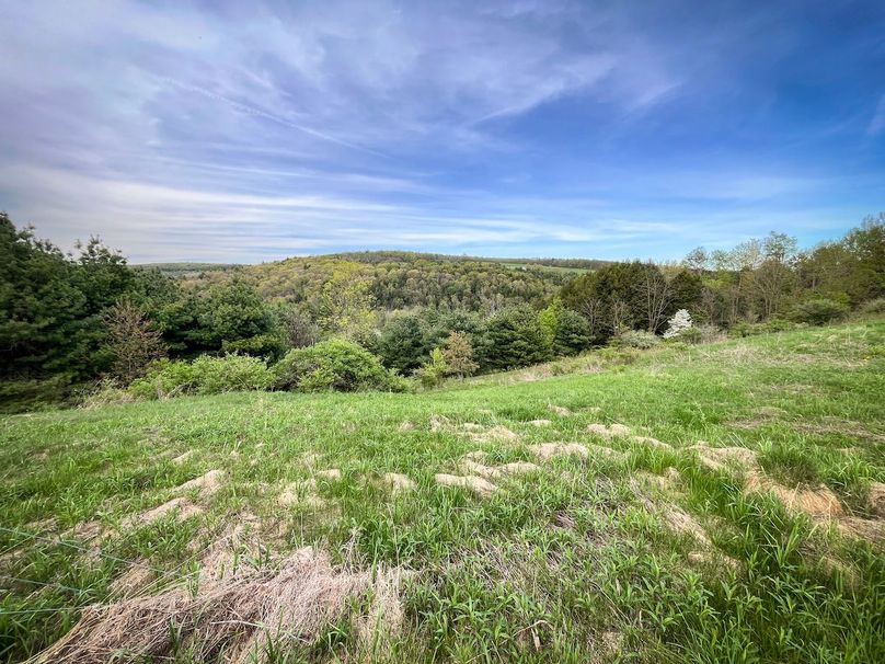 Tioga_116.52_Moore_Photo_60