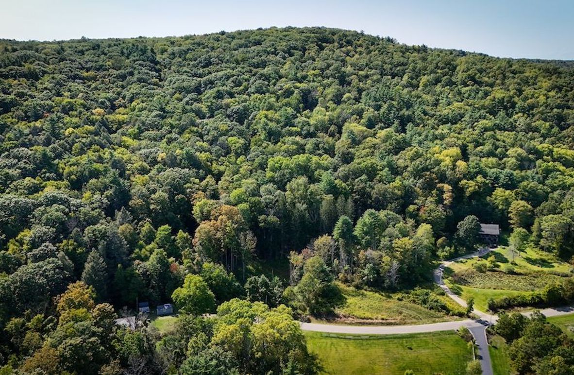 Tioga NY 86.705 Capwell Photos 2