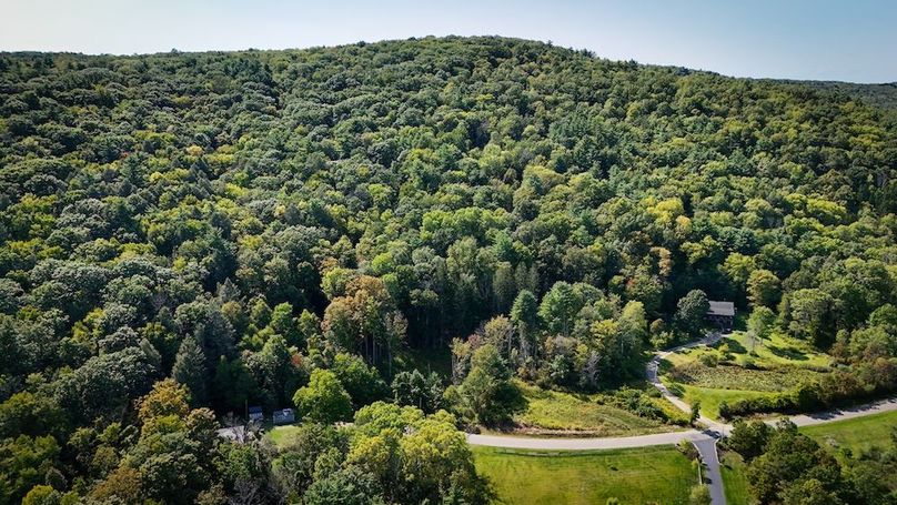 Tioga NY 86.705 Capwell Photos 2