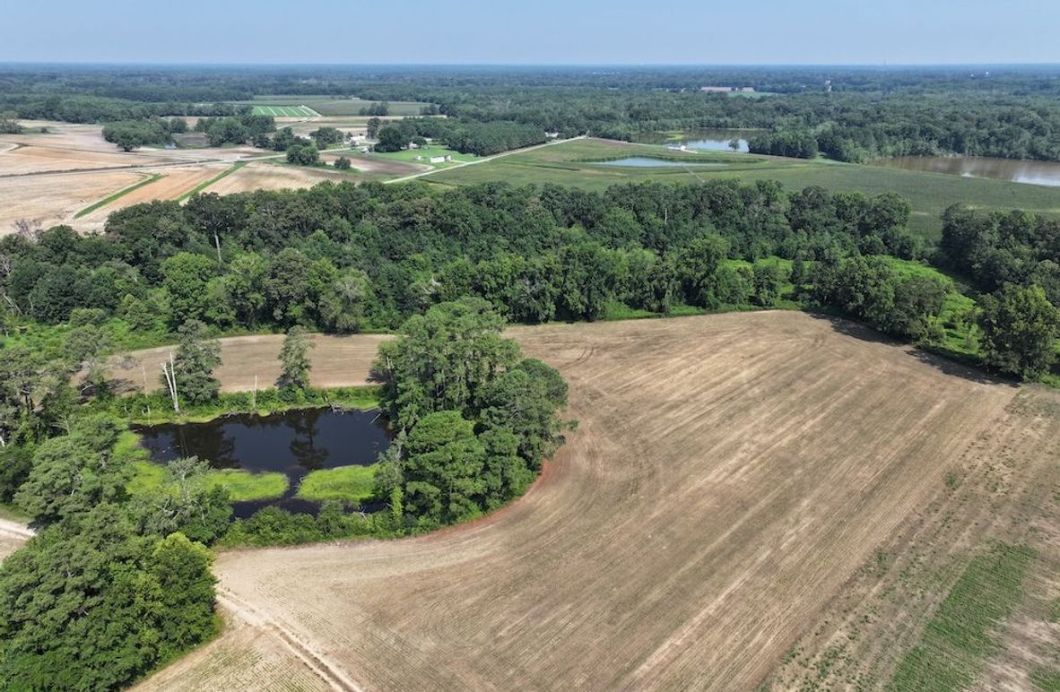 DJI_20240716105439_0027_D