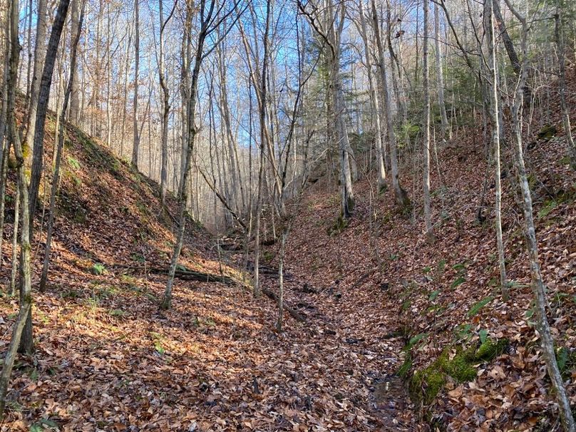 014 the valley in the west valley