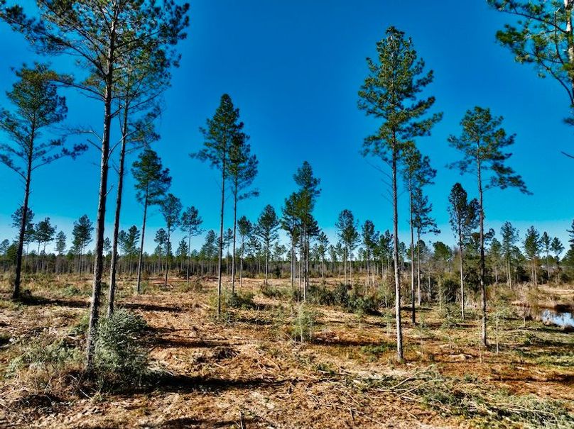 354787AD-47C0-4AAB-A1C7-561633CCA8F0_1_201_a