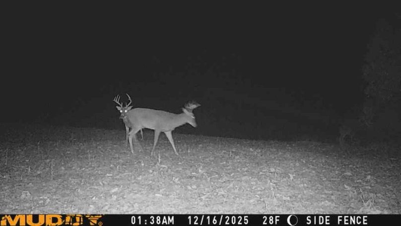 25121601384001005451_ColorizationType.none