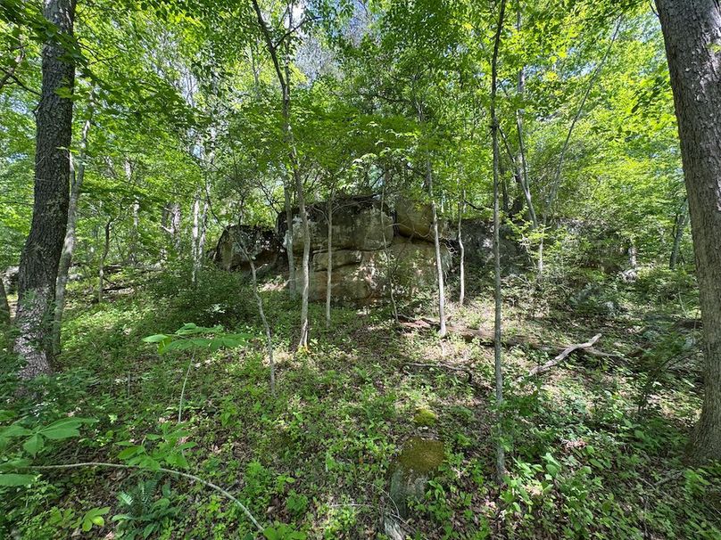 Calhoun, WV 29 AC Minney-23