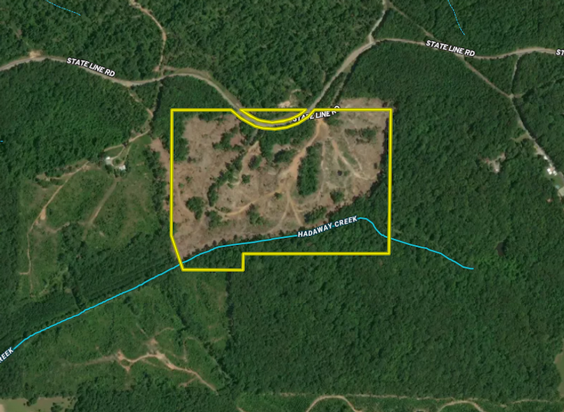 Screenshot 2026-02-19 at 10.17.04 AM