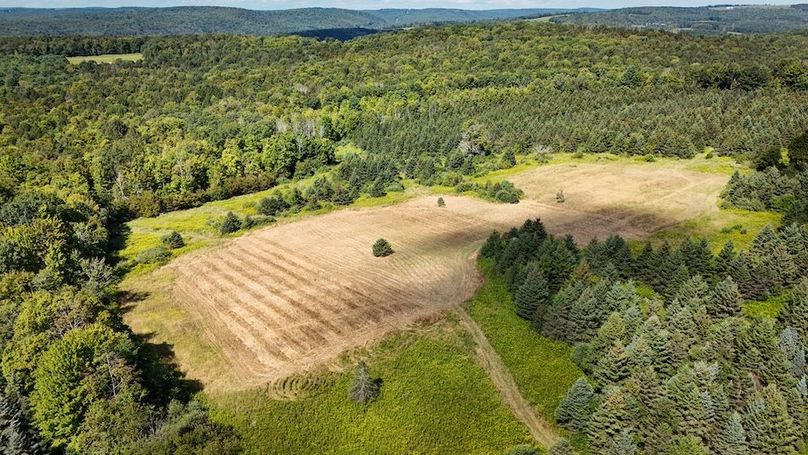 Tioga NY 232.62 Shores Photos 20