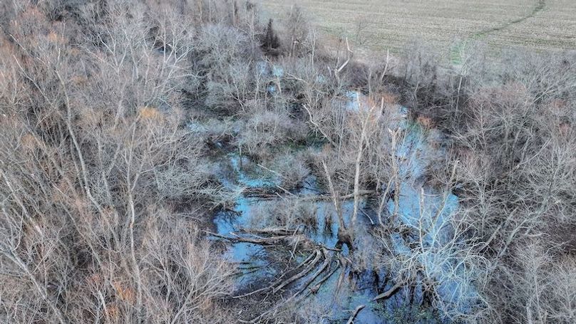 Phillips 8.5 Trahan -32