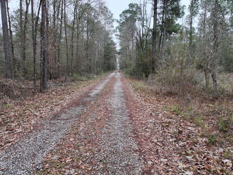 dji_fly_20260123_105538_0903_1769444792950_photo