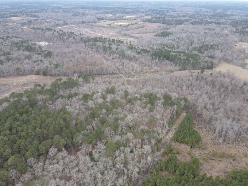 dji_fly_20240217_152504_84_1708205115318_photo