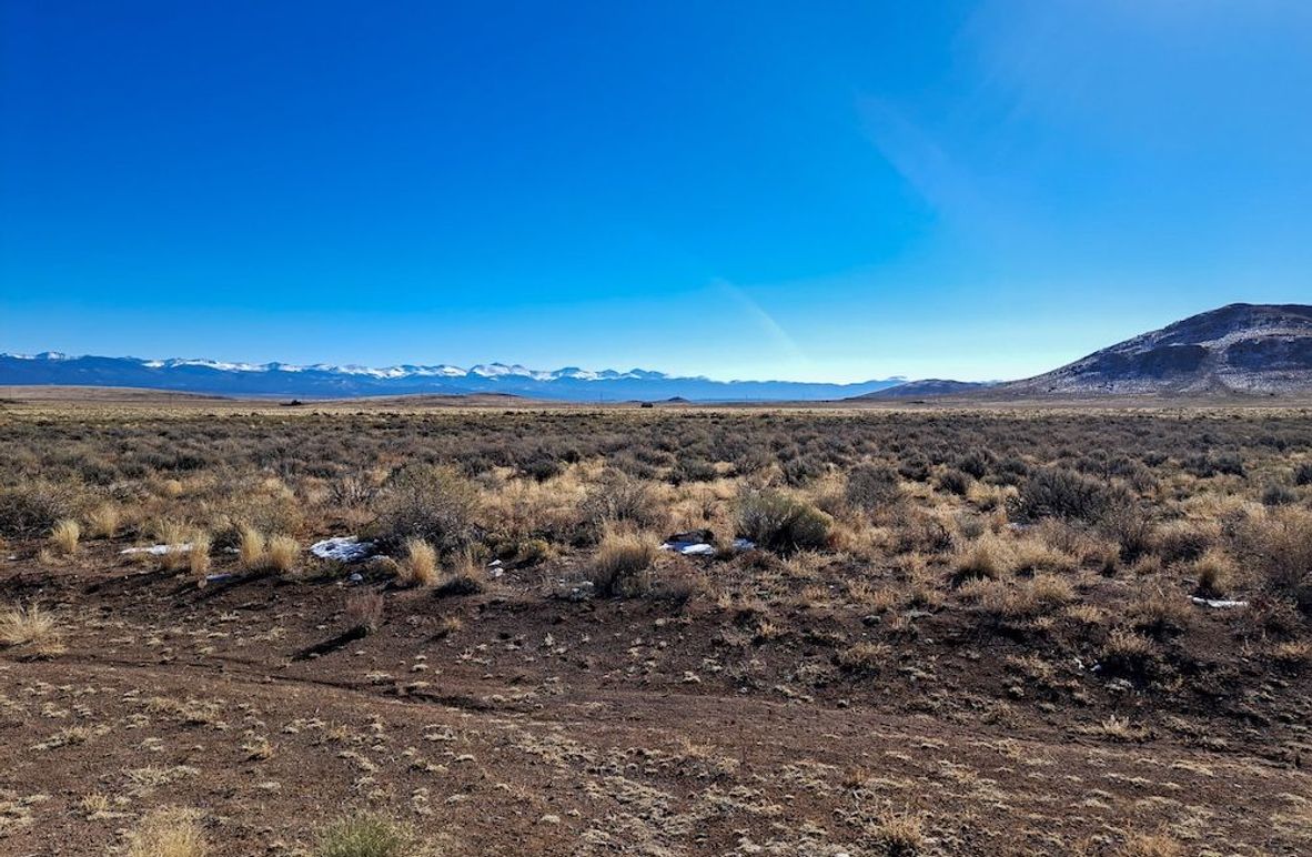 709540794962735425 2