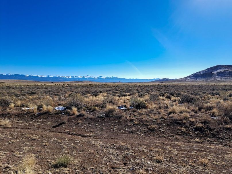 709540794962735425 2