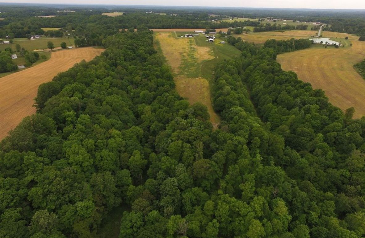DJI_0024